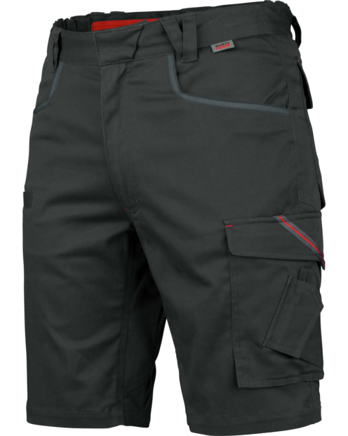 Arbeidsshorts StretchX